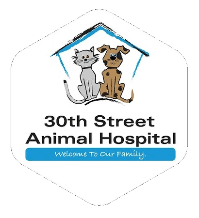 Vet Clinic in East Indianapolis & Lawrence area of Indianapolis, IN | Animal  Hospital