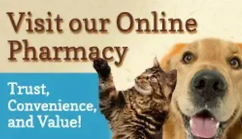 Visit our online pharmacy - Trust, convenience, and value!