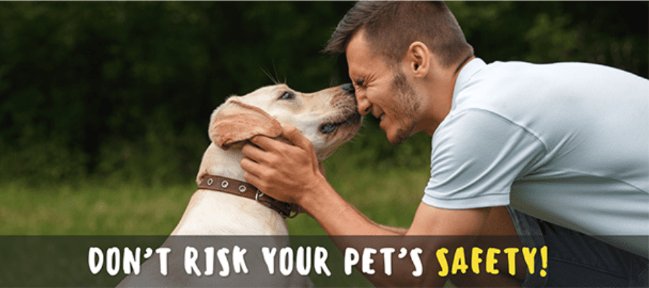 Protect Your Pet with a Microchip 