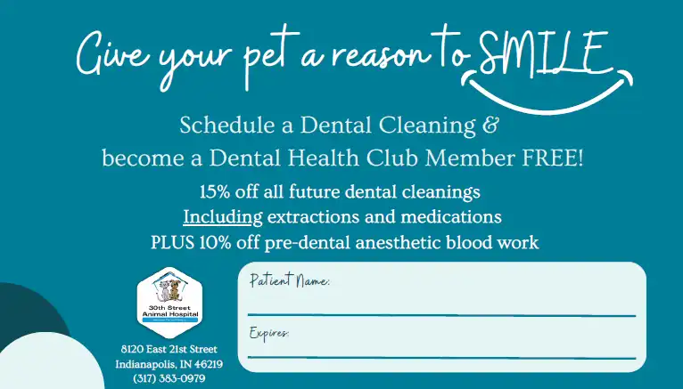 Schedule a dental cleaning & become a dental health club member FREE!