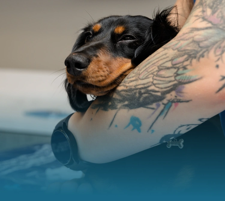 Stories from Happy Pet People