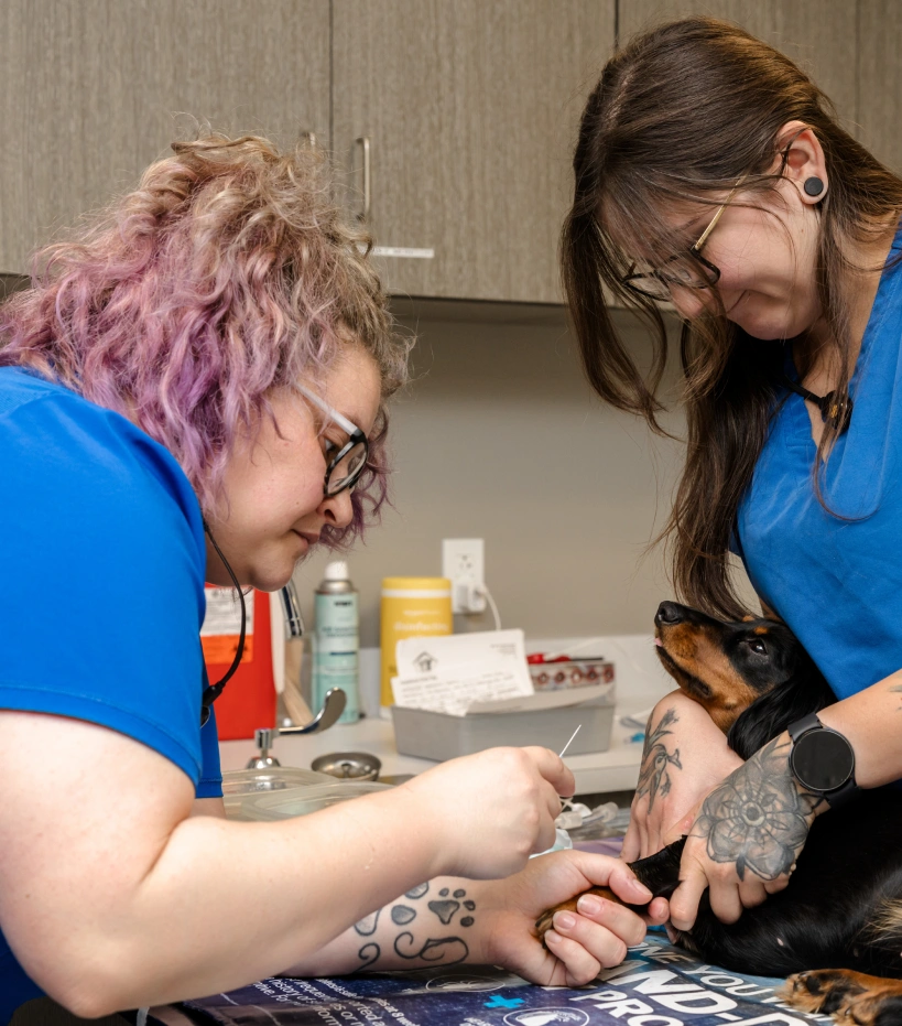 We’re Excited to Meet You & Your Pet