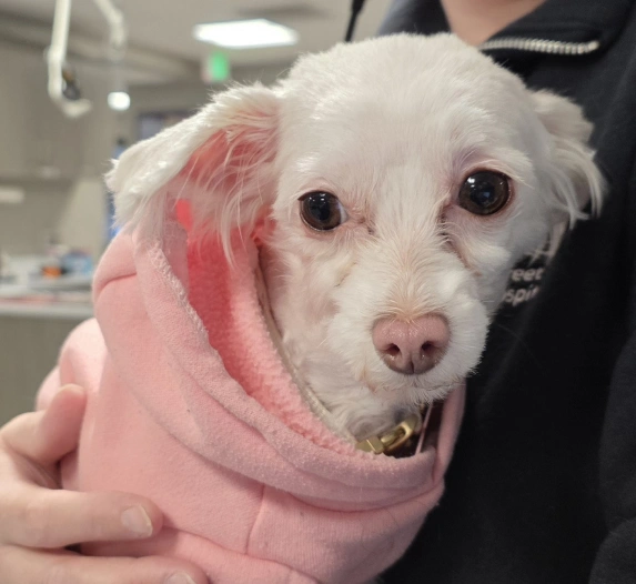 Care to Share Program