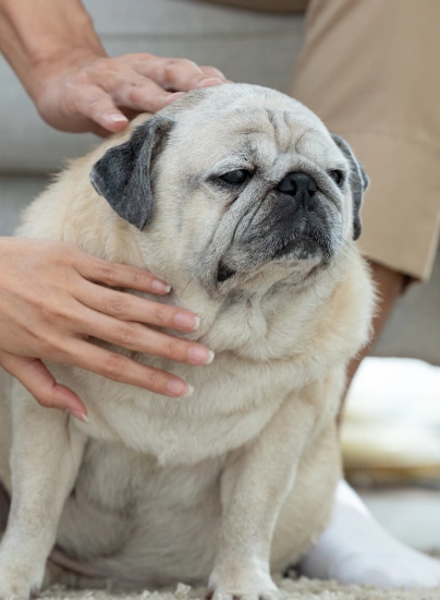 Allergies & Dermatology