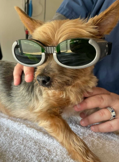 Laser Therapy