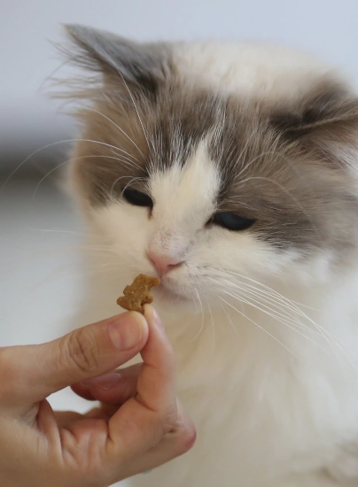 Nutrition & Weight Management