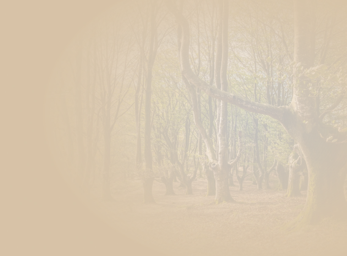 Meet the Veterinarians BG