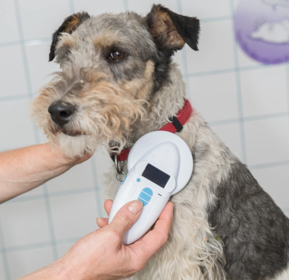 Pet Microchipping