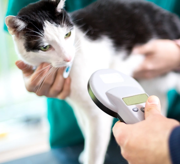 Microchipping Your Pet for Safety and Peace of Mind